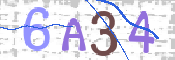 Please enter this image in the box below